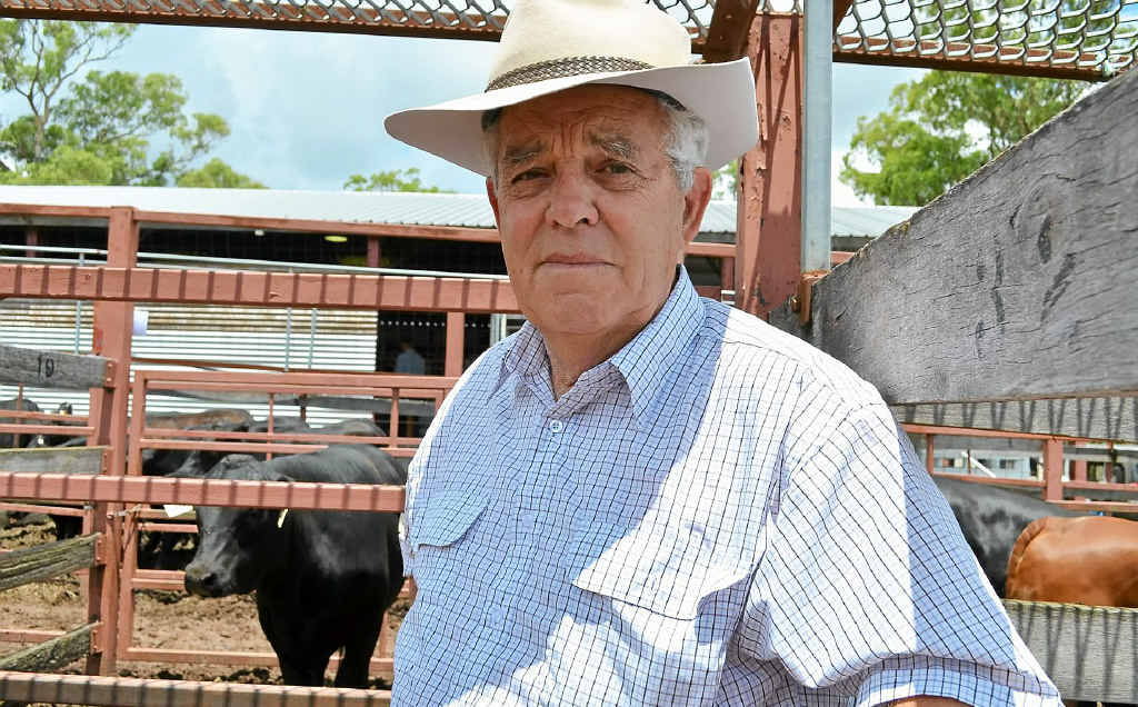 CELEBRATING COUNTRY STYLE: Ian Salmon turned 76 last week and spent the morning buying cattle. CELEBRATING COUNTRY STYLE: Ian Salmon turned 76 last week and spent the morning buying cattle.